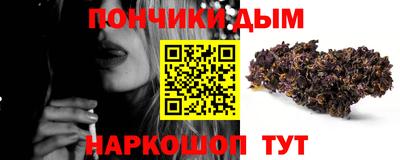 МДПВ Новодвинск