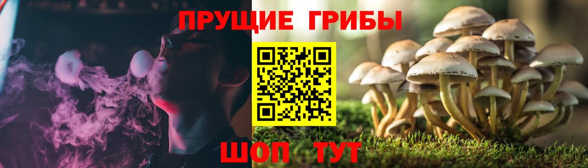 Бошки Шишки  Гашиш  Вход с VPN  Alpha-PVP СОЛЬ   Вейп ТГК  Таганрог  МЕФ  