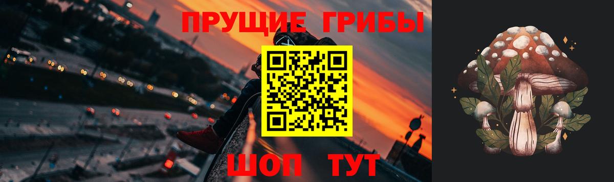 Таганрог  Псилоцибиновые грибы Cubensis  Вход с VPN 